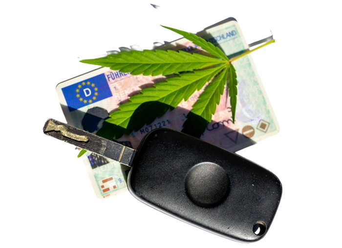Ein Autoschlüssel und ein Cannabisblatt liegen auf einem Führerschein